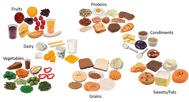 Food portion size plastic models all food pieces for nutritionists and dietitians. Core food groups of fruits, proteins, dairy, vegetables, dairy, grains, sweets/fats, condiments. Meal planning tools.